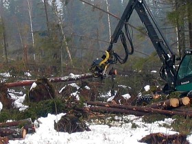 Mit dem Timberjack 1270B im Sturmholz in Schweden